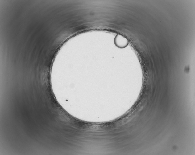 X0000116621265201001221332