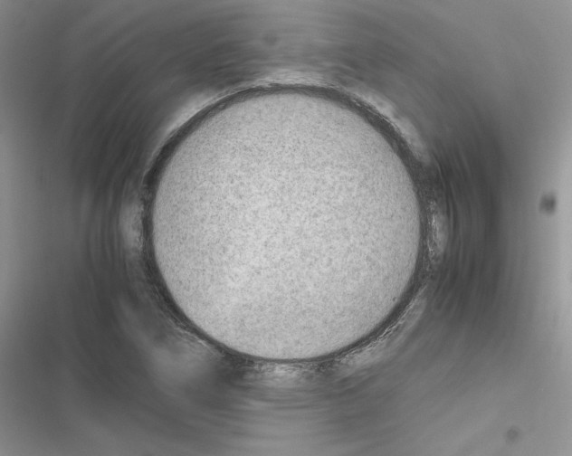 X0000116621266201001221332