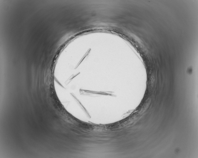 X0000116621267201001221332