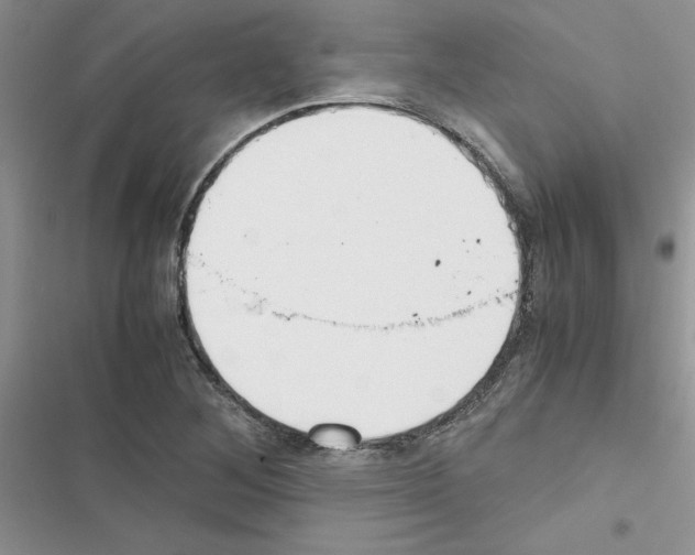 X0000116621268201001221332