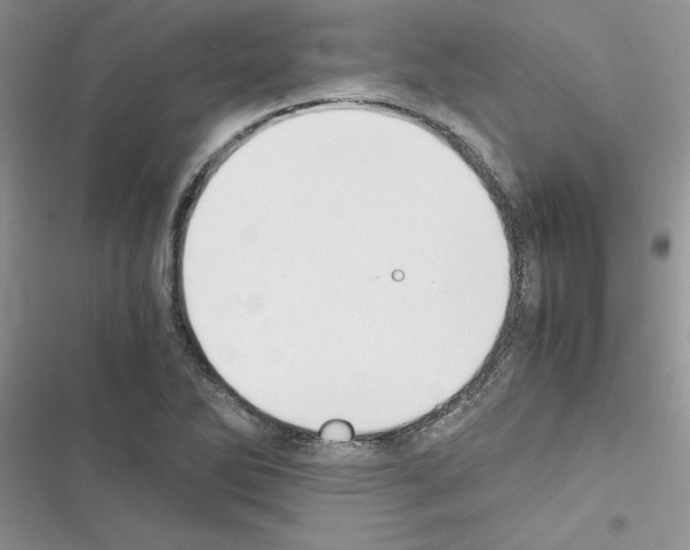 X0000116621270201001221332