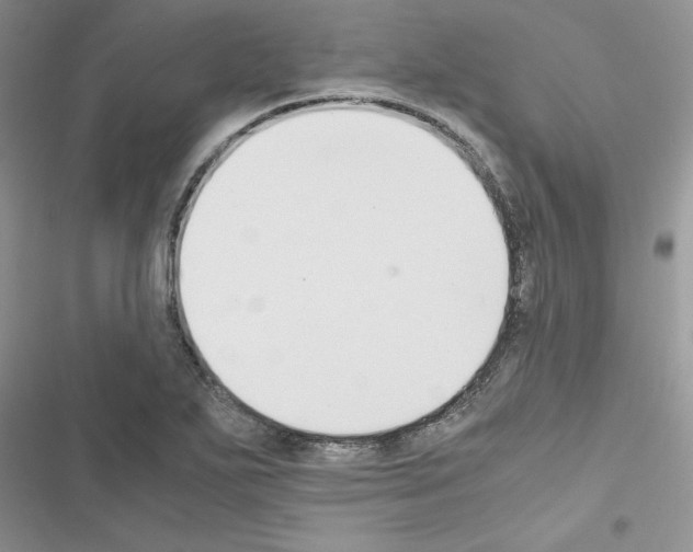 X0000116621271201001221332