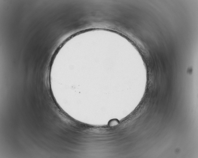 X0000116621272201001221332