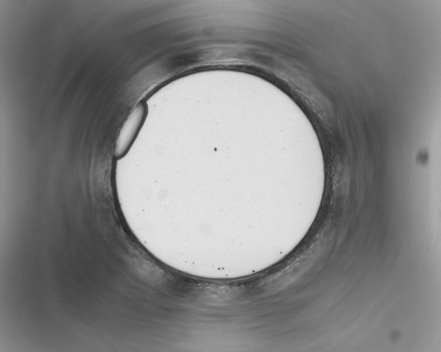 X0000116621273201001221332