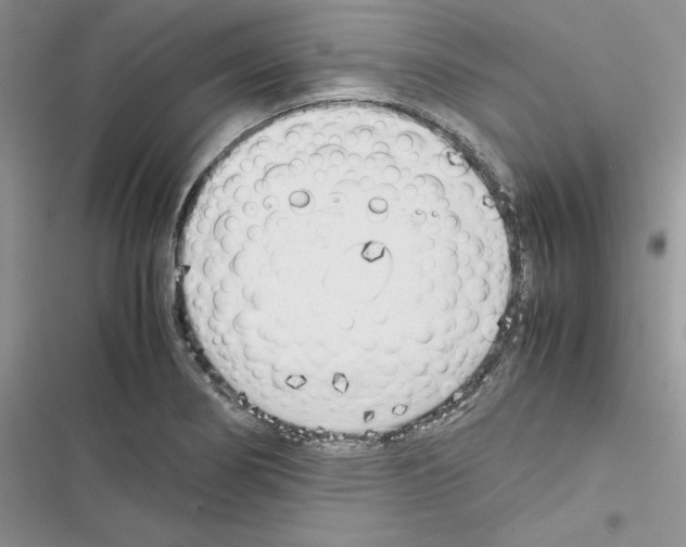 X0000116621274201001221332