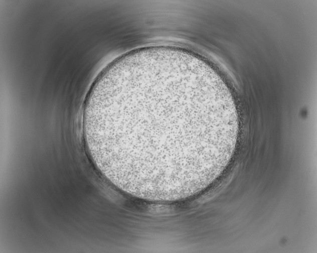 X0000116621275201001221332