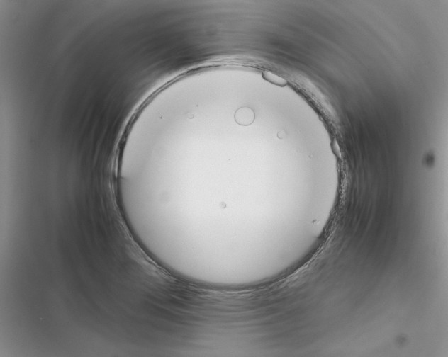 X0000116621276201001221332