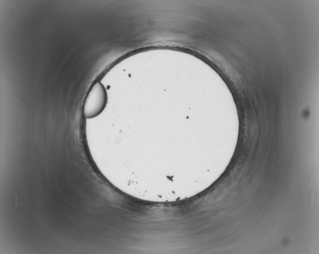 X0000116621277201001221332