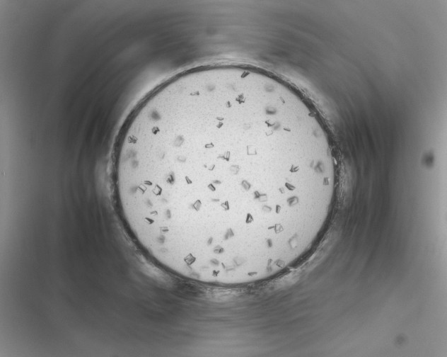 X0000116621278201001221332