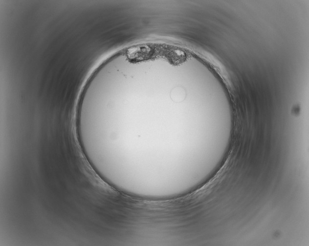 X0000116621280201001221332