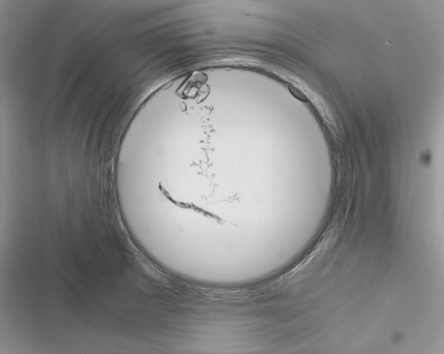 X0000116621281201001221332