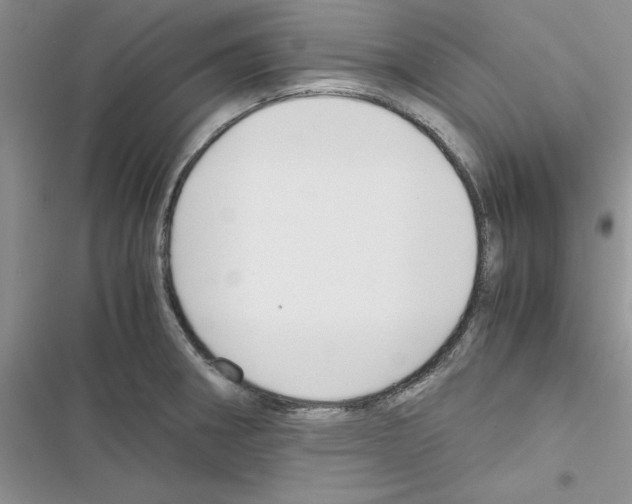 X0000116621282201001221332