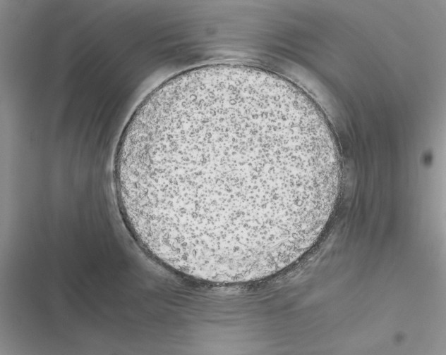 X0000116621283201001221332