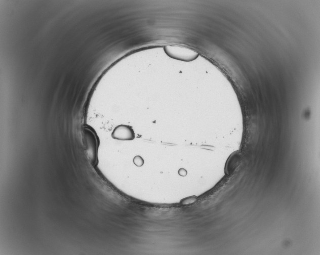 X0000116621284201001221332