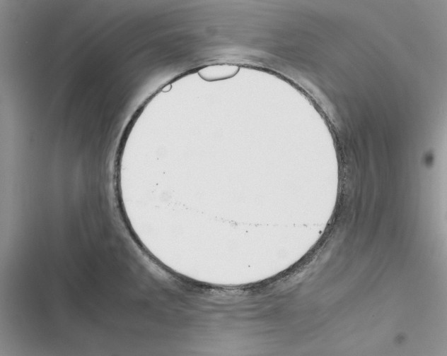 X0000116621285201001221332