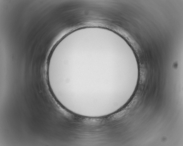 X0000116621286201001221332