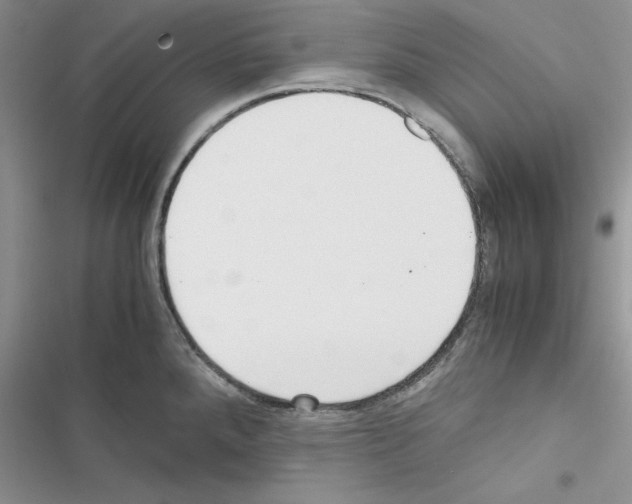 X0000116621288201001221332