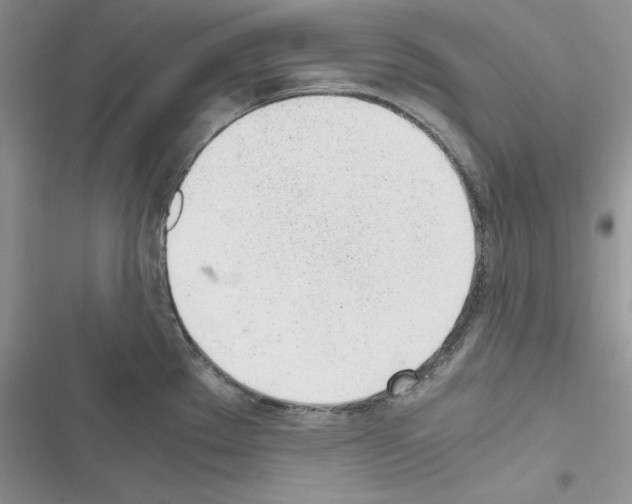 X0000116621289201001221332