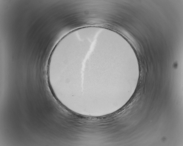 X0000116621291201001221332