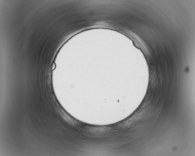 X0000116621292201001221332