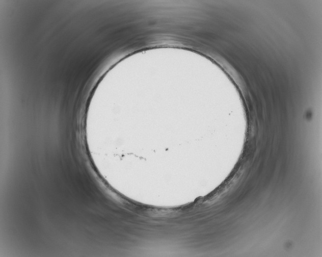 X0000116621293201001221332