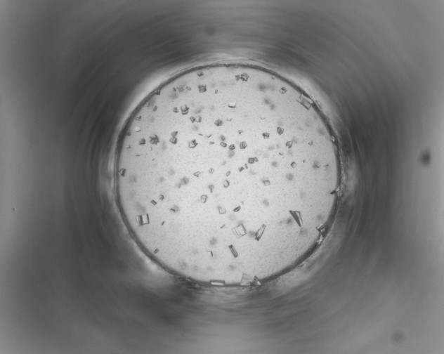 X0000116621294201001221332