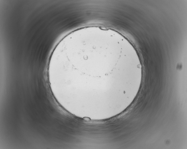 X0000116621296201001221332