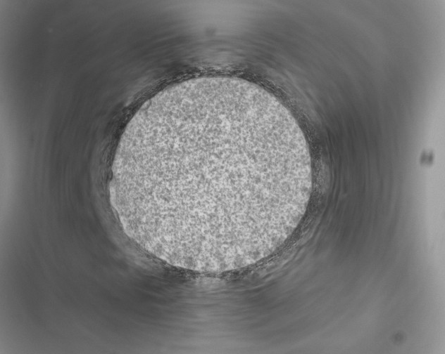 X0000116621297201001221331