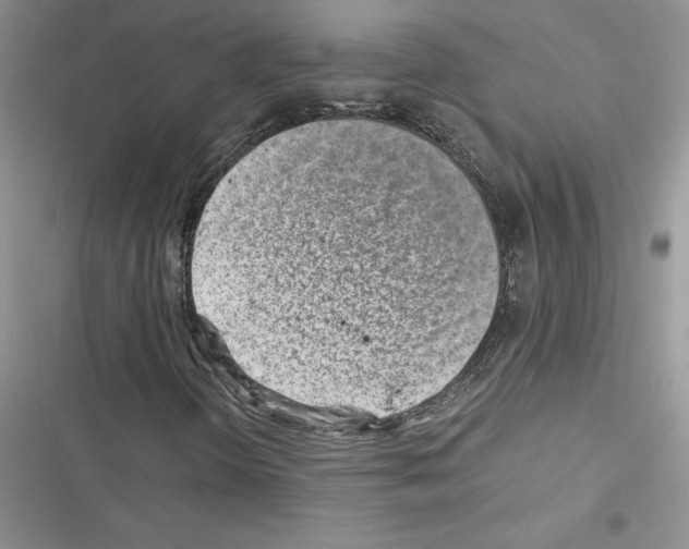 X0000116621298201001221331