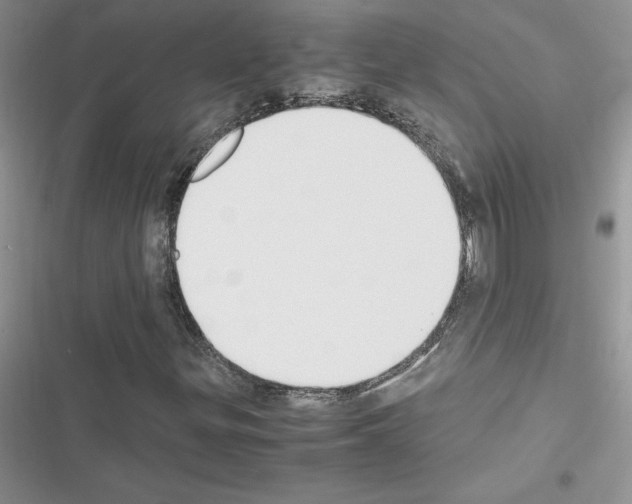 X0000116621299201001221331