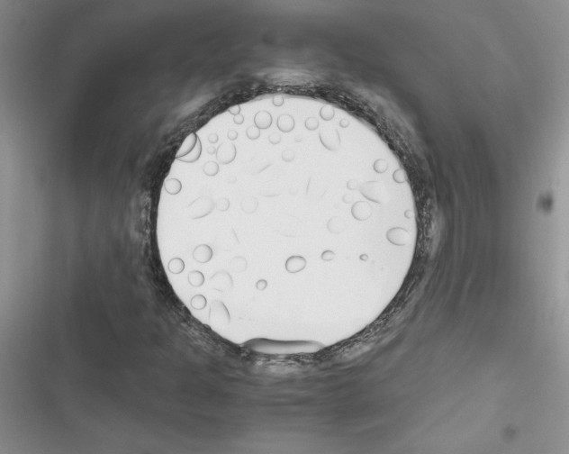 X0000116621301201001221331