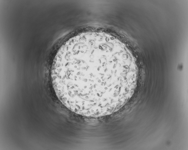 X0000116621302201001221331