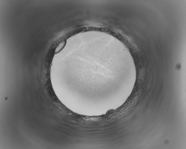 X0000116621303201001221331