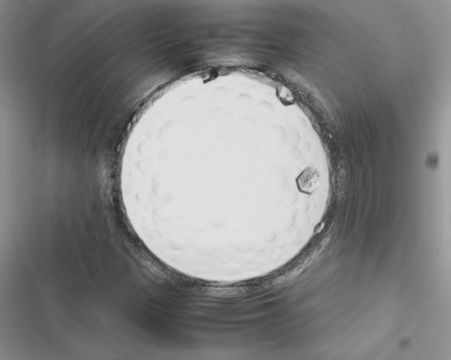 X0000116621305201001221331