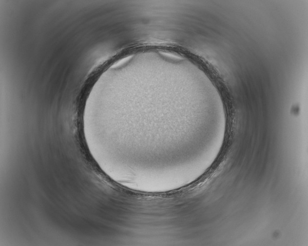 X0000116621306201001221331