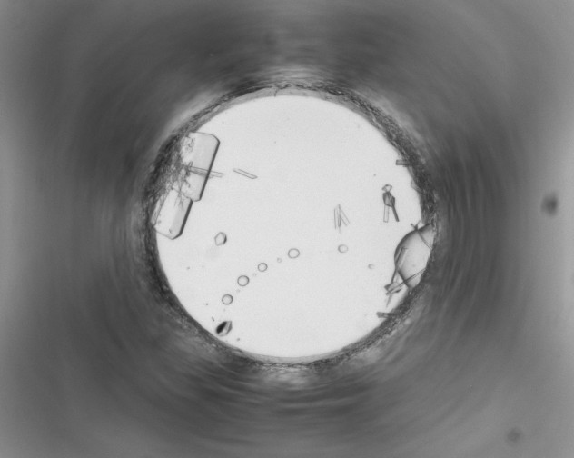 X0000116621309201001221331