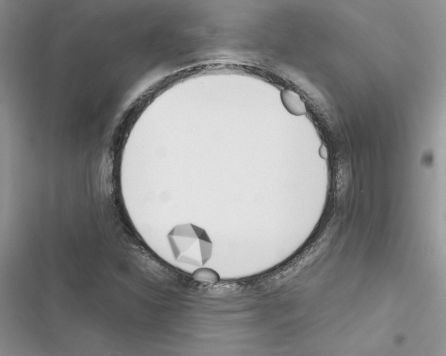 X0000116621310201001221331