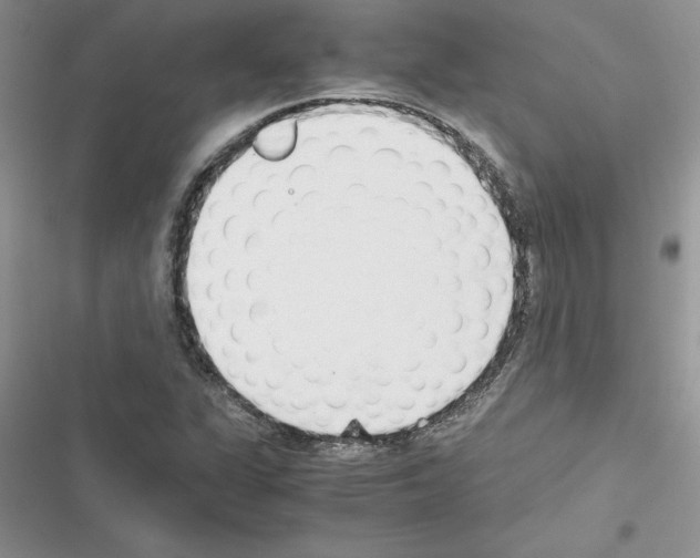 X0000116621311201001221331