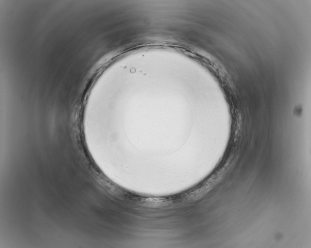 X0000116621314201001221331