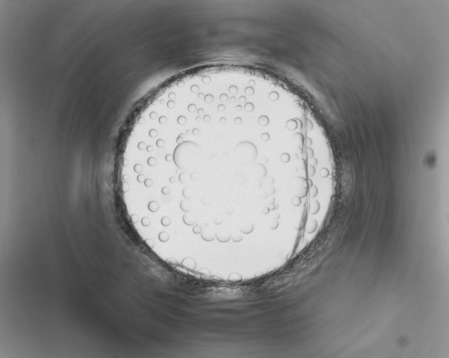 X0000116621315201001221331