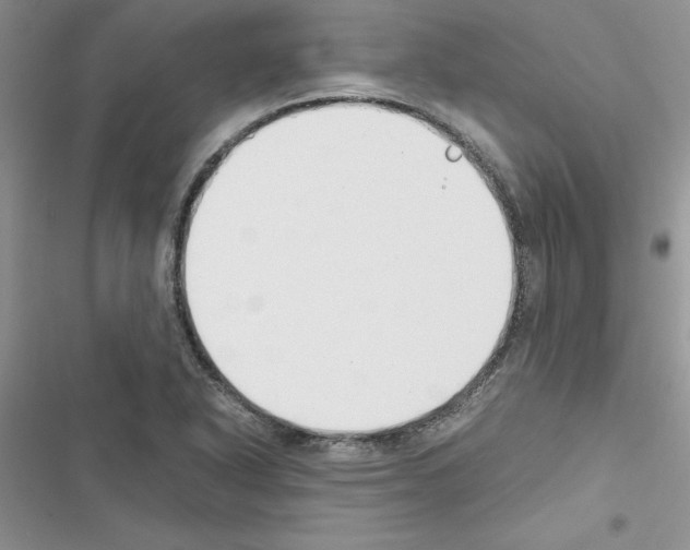 X0000116621318201001221331