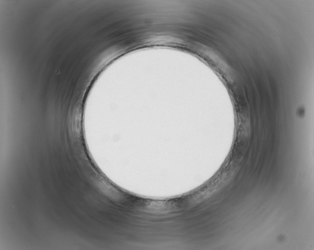 X0000116621322201001221331