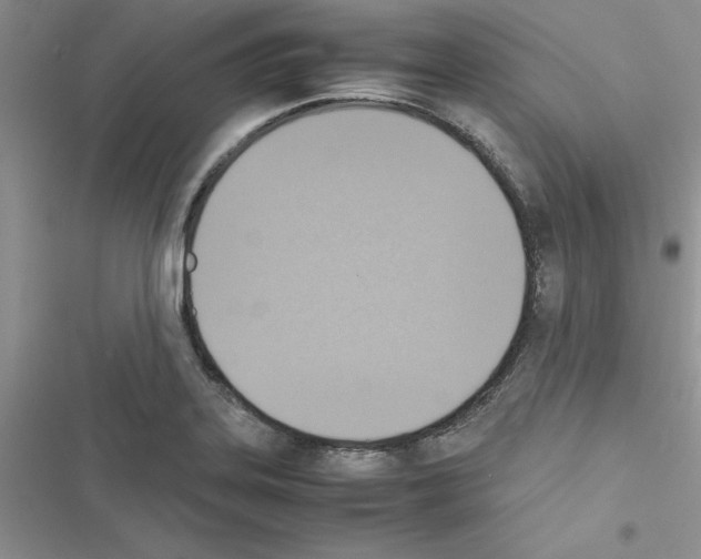 X0000116621323201001221331