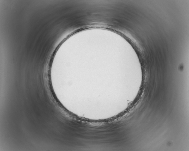 X0000116621325201001221331