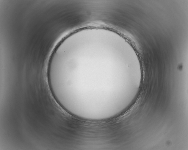 X0000116621326201001221332