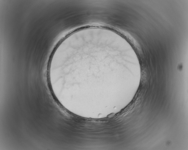 X0000116621327201001221332