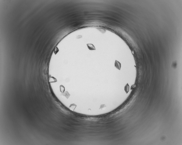 X0000116621329201001221332