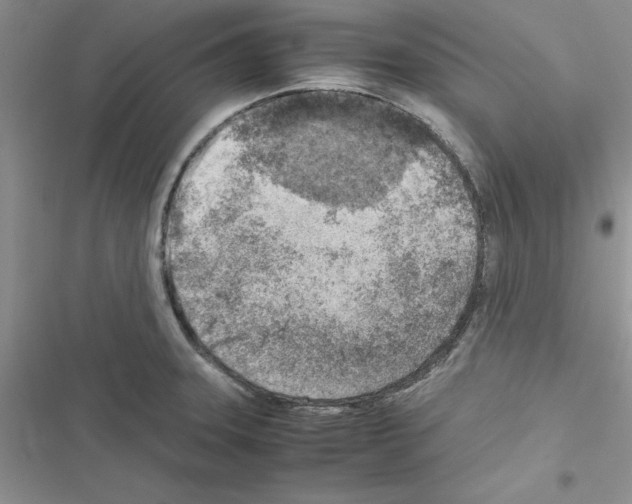 X0000116621331201001221332