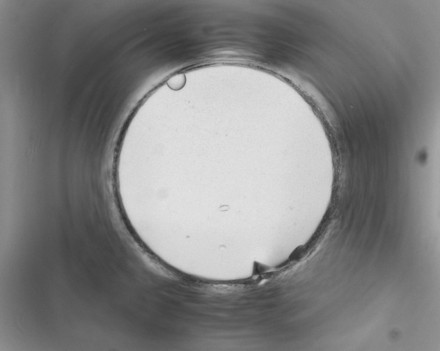 X0000116621333201001221332