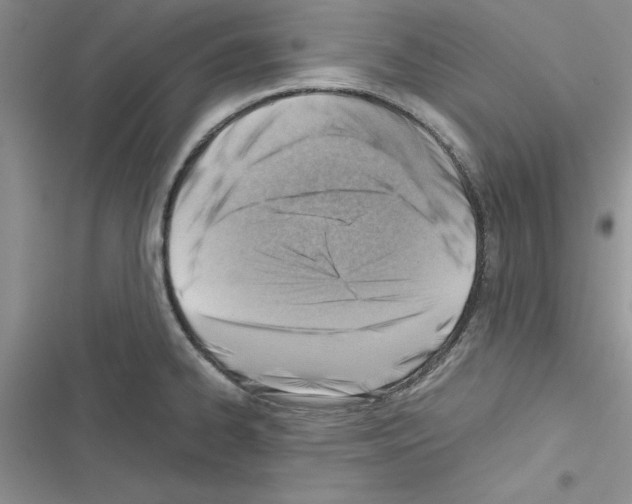 X0000116621334201001221332